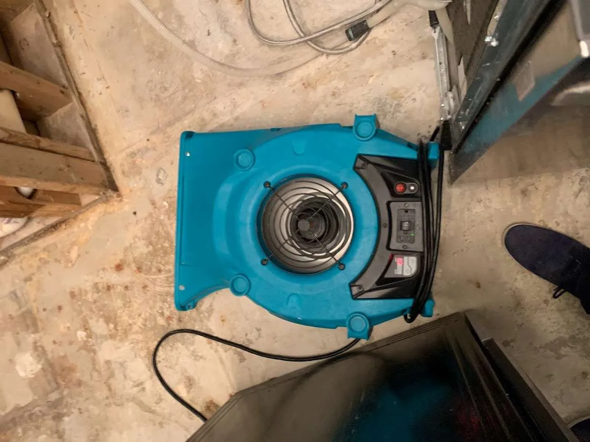 Air mover drying equipment for Mold Remediation & Removal in Marlton